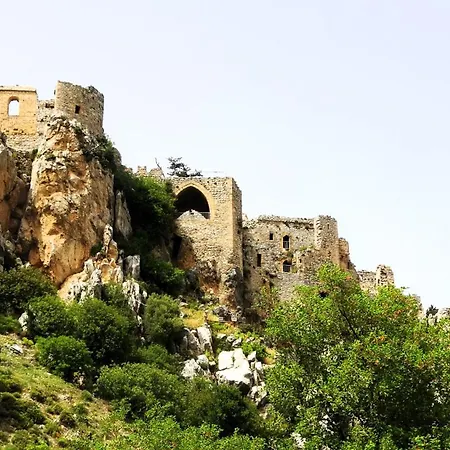 Antonakis 501 Лимасол