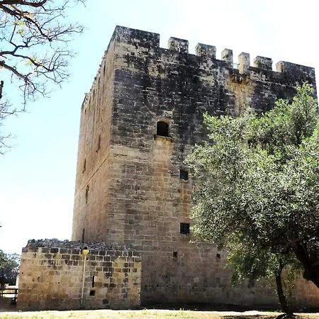 Апартаменты Antonakis 501 Лимасол